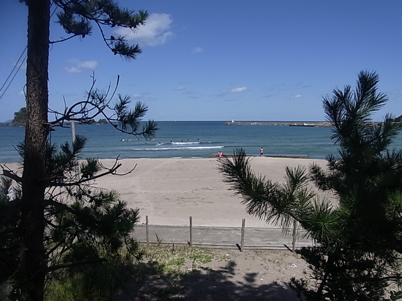 c0142576_14398.jpg
