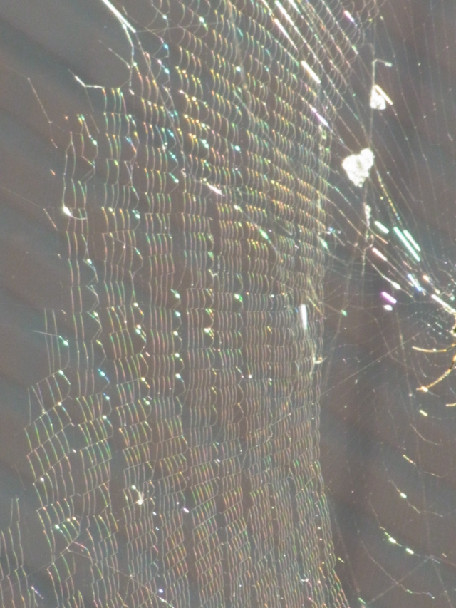 d0199578_8533034.jpg