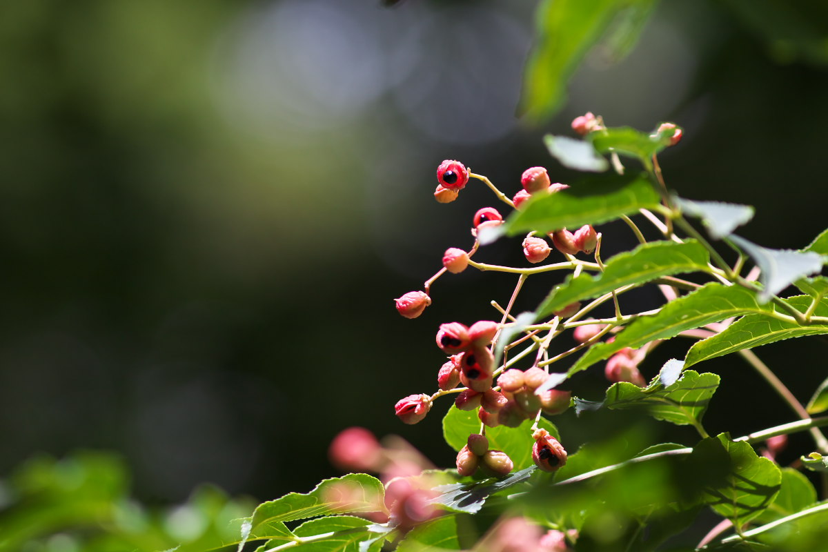 a0083081_16563330.jpg