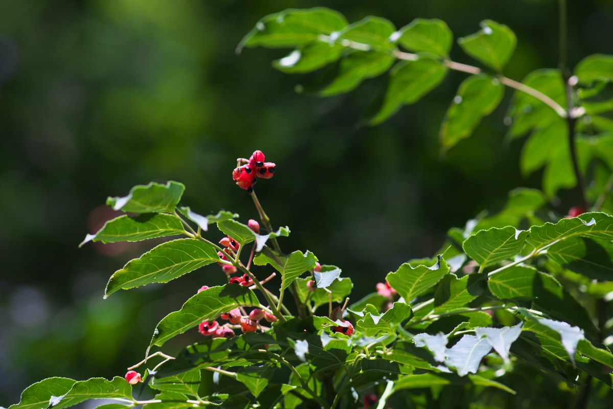 a0083081_16565436.jpg