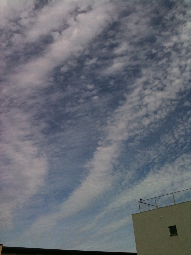 d0251583_144039.jpg
