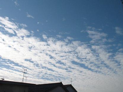 e0130185_9223452.jpg