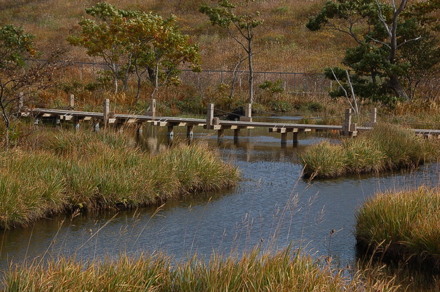 b0203588_19101170.jpg