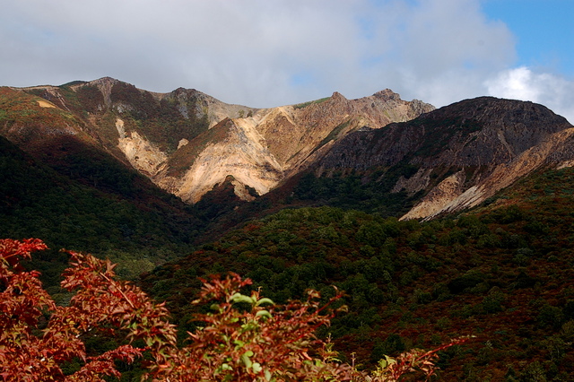b0203588_1922381.jpg