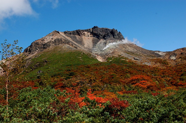 b0203588_1925559.jpg