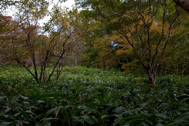 b0203588_1975675.jpg
