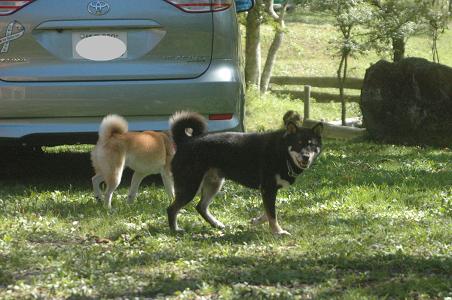 c0123890_205768.jpg