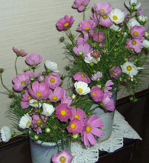 e0023790_23273934.jpg