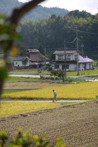 f0222692_201144.jpg