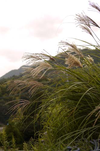f0222692_2013696.jpg