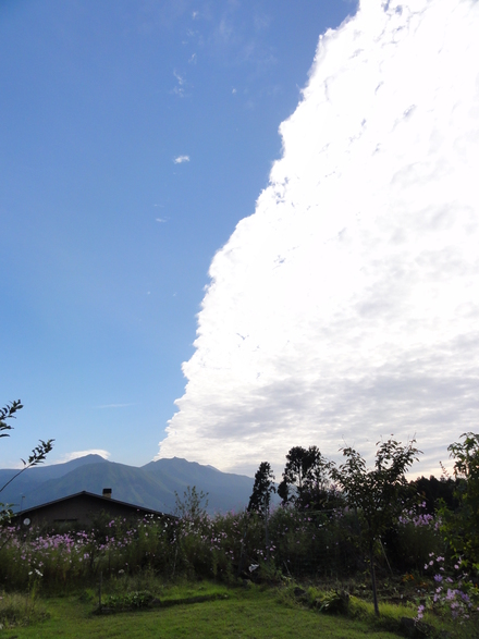 f0209394_2353121.jpg