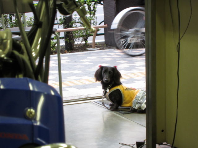 d0098295_2381721.jpg