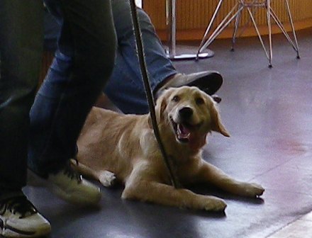 f0077697_1838511.jpg
