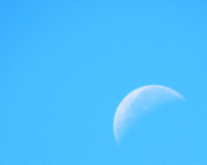 a0203600_11323651.jpg