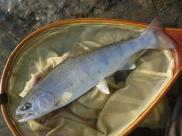 b0229003_2001250.jpg