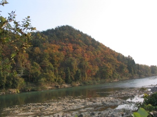 b0079206_426526.jpg