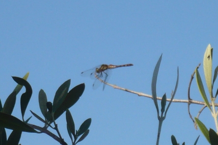 f0221708_1442277.jpg