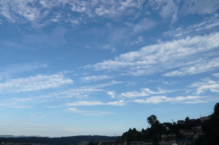 f0221708_1495660.jpg