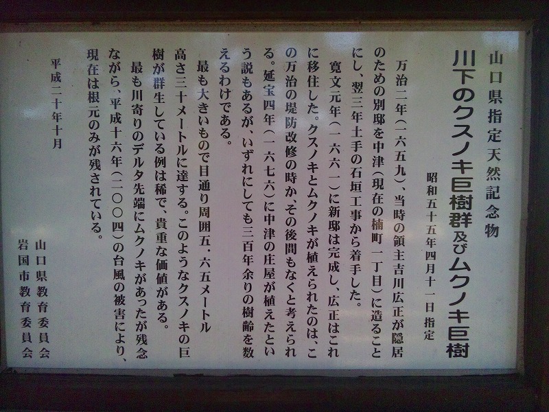 b0062010_215487.jpg