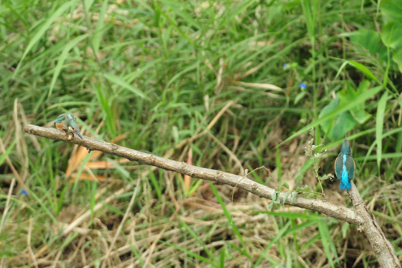 f0133213_21104294.jpg