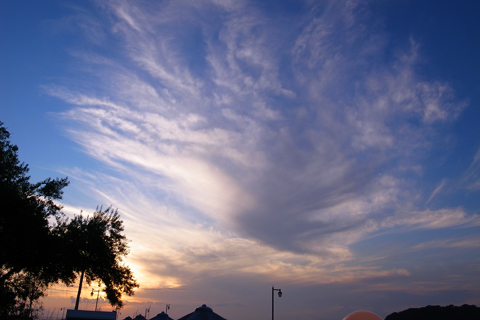 d0063314_12561781.jpg