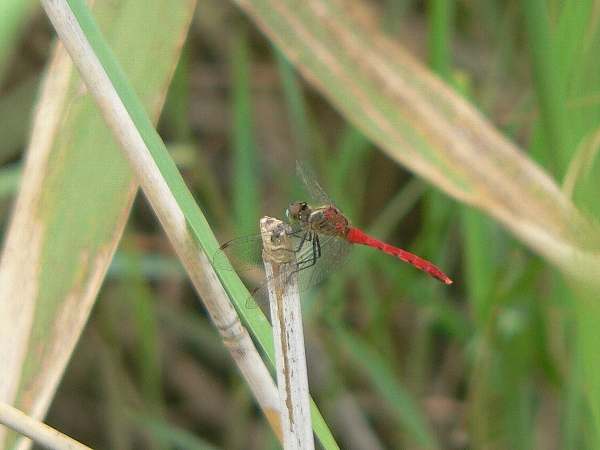 e0002314_1610231.jpg
