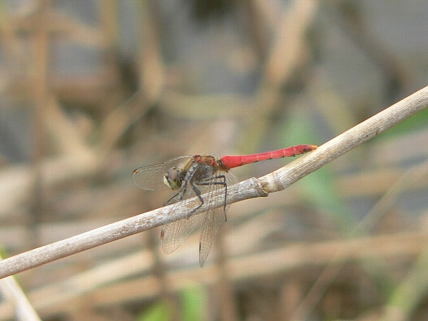 e0002314_16145187.jpg