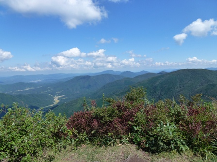 c0042418_8465986.jpg