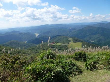 c0042418_848519.jpg