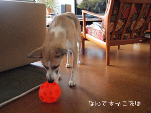 c0012120_21384857.jpg