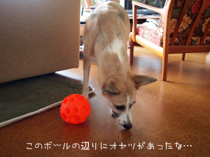 c0012120_2139875.jpg