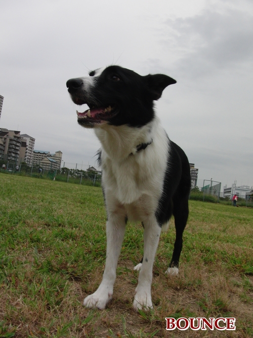 e0179321_20153490.jpg