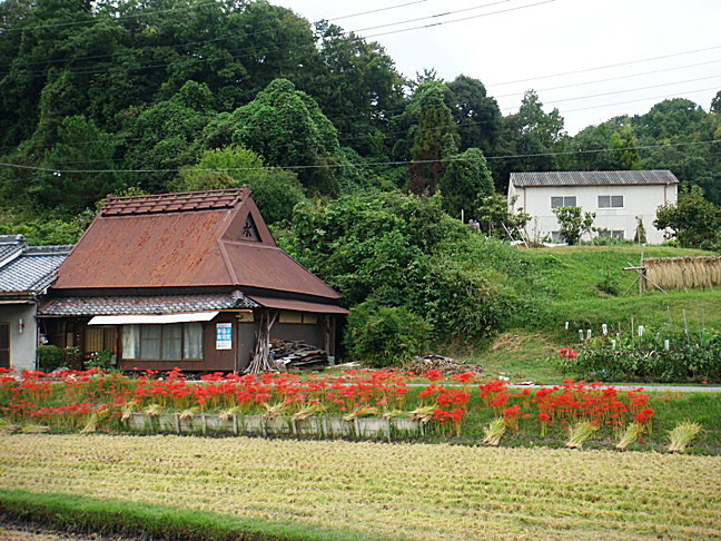 b0068423_2120634.jpg