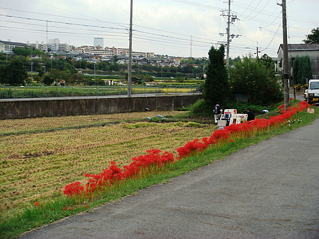 b0068423_2129246.jpg