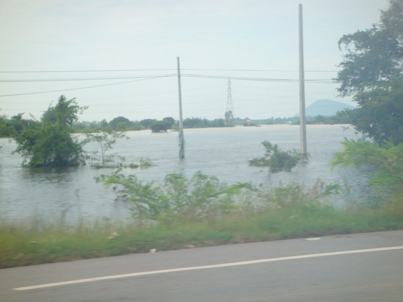 d0159325_23541069.jpg
