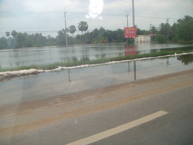 d0159325_235663.jpg