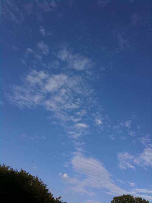 c0187626_20355854.jpg