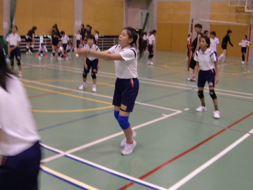 d0138226_13501916.jpg