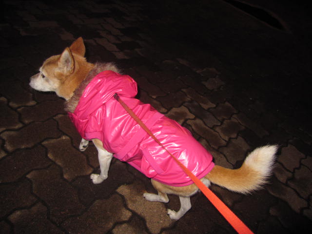e0191826_017729.jpg