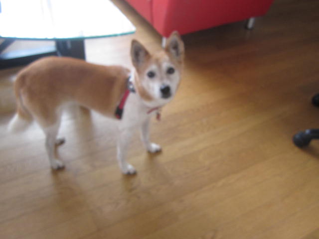 e0191826_0273324.jpg