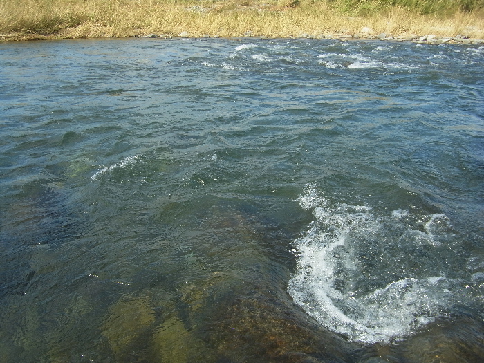 f0103126_20354760.jpg