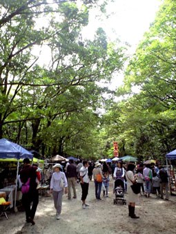 b0080027_1825757.jpg