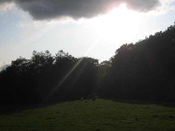 d0145528_18455339.jpg
