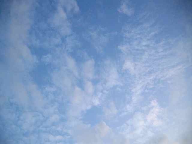 e0247832_1544237.jpg