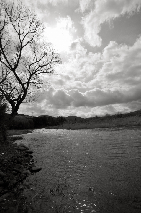 c0133133_16581221.jpg