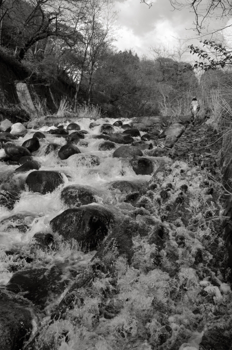 c0133133_177752.jpg