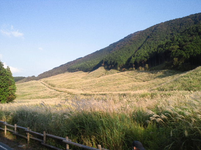 e0064133_21223634.jpg