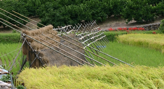 c0134734_17241061.jpg