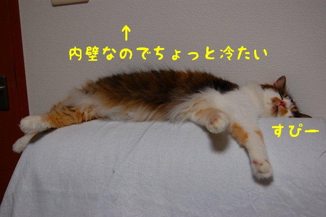 c0181639_1535045.jpg