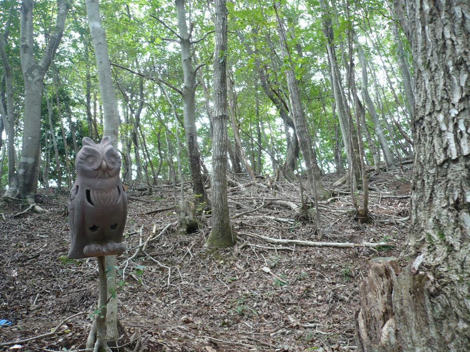 f0090444_2141121.jpg